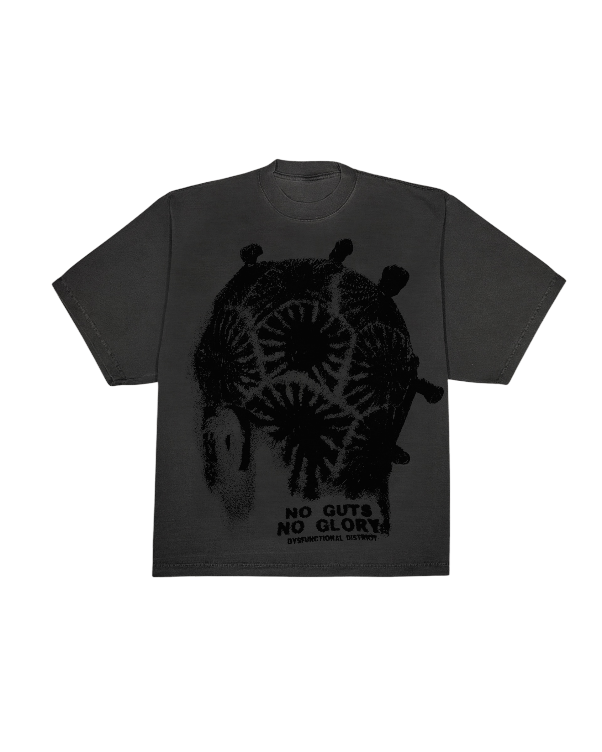NO GUTS, NO GLORY
